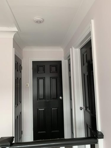 Internal Painting - Perfect Coat 11